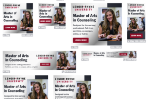 Example of Counseling digital display ads