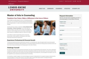 Example of Counseling academic program page