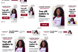 Examples of fundraising display ads